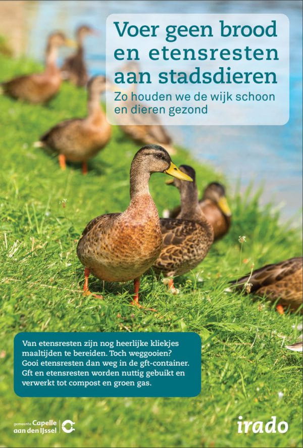 Voer geen brood en etensresten aan stadsdieren Irado